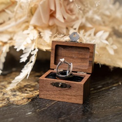 Digital Dream On and Offsite Photo Shoot