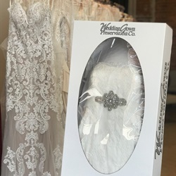 Wedding Dress Preservation